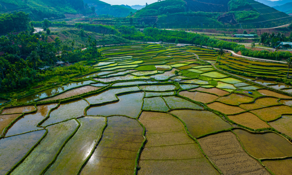 Binh Dinh's majestic 1,000-meter highlands