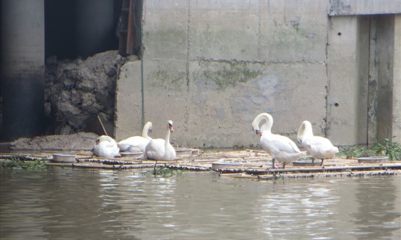 Bản tin Quảng Ninh ngày 01/7/2023