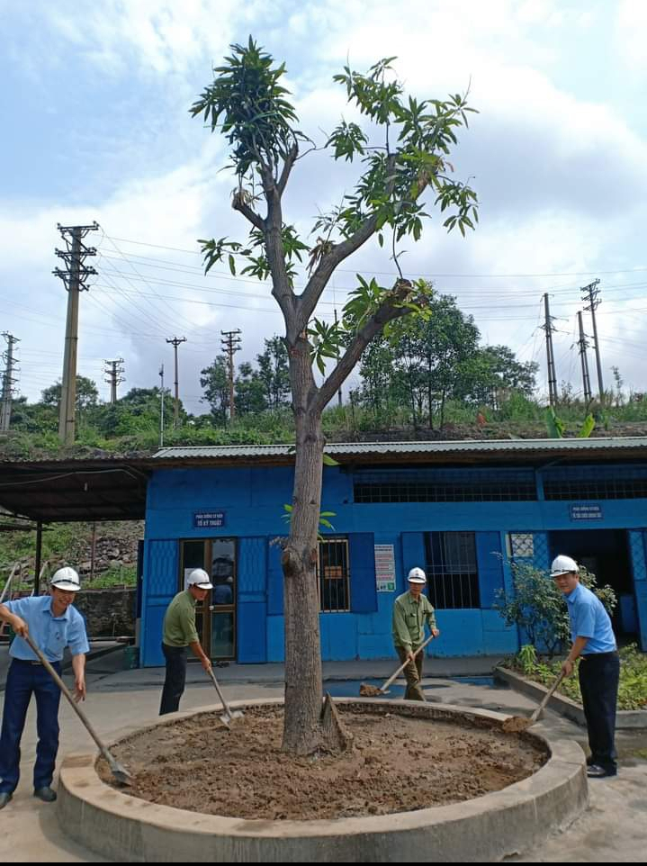 Đồng chí Bí thư Đảng uỷ, Giám đốc Công ty trồng tặng cây lưu niệm tại Phân xưởng Cơ Điện.