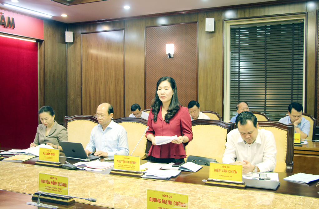 Đồng chí Nguyễn Thị Hạnh, Phó Chủ tịch UBND tỉnh, phát biểu tại cuộc họp.