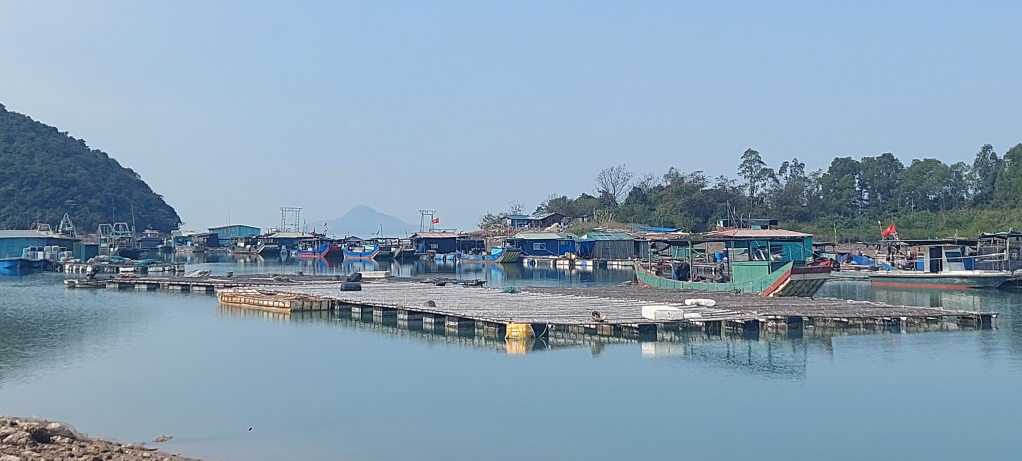 TP Móng Cái có kế hoạch di chuyển các lồng, bè nuôi trồng thủy sản tại khu vực Cống Cách, thôn 4, xã Vĩnh Trung về khu quy hoạch nuôi trồng thủy sản trên biển để đảm bảo an toàn