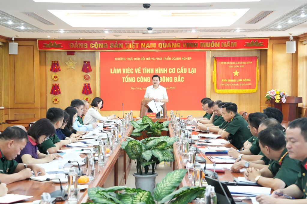 Đồng chí Nguyễn Hồng Long, Phó Trưởng BCĐ Đổi mới và phát triển doanh nghiệp kết luận cuộc họp. Ảnh do đơn vị cung cấp.