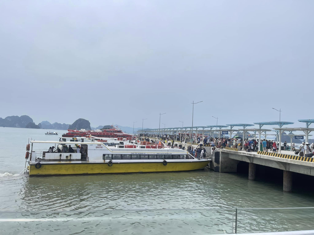 Du khách di chuyển từ các tuyến đảo về Cảng tàu khách quốc tế Ao Tiên (huyện Vân Đồn). ( Ảnh: Sở Giao thông-Vận tải cung cấp)