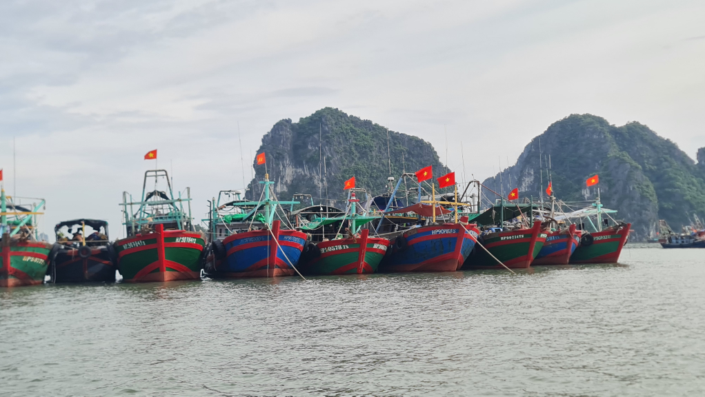 Tới 18h ngày 17/7, hầu hết tàu thuyền đã về nơi tránh trú an toàn.