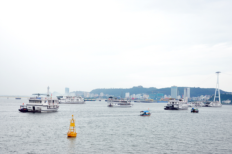 Cruise tours in Ha Long Bay canceled from 3pm on July 17.