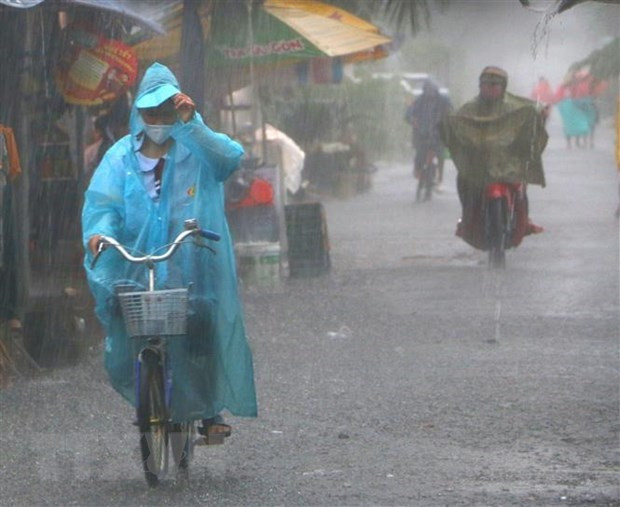 Bac Bo, Thanh Hoa va Nghe An co mua, co noi mua rat to hinh anh 1