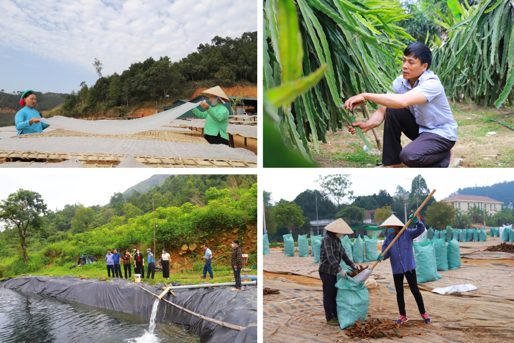 Các mô hình sản xuất nông nghiệp mang lại hiệu quả kinh tế cao, góp phần nâng cao đời sống cho nhân dân tại Bình Liêu.