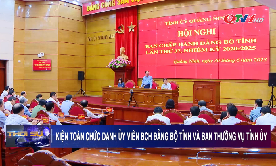 Giới thiệu nhân sự bổ sung Ban Thường vụ Tỉnh ủy, Ban Chấp hành Đảng bộ tỉnh