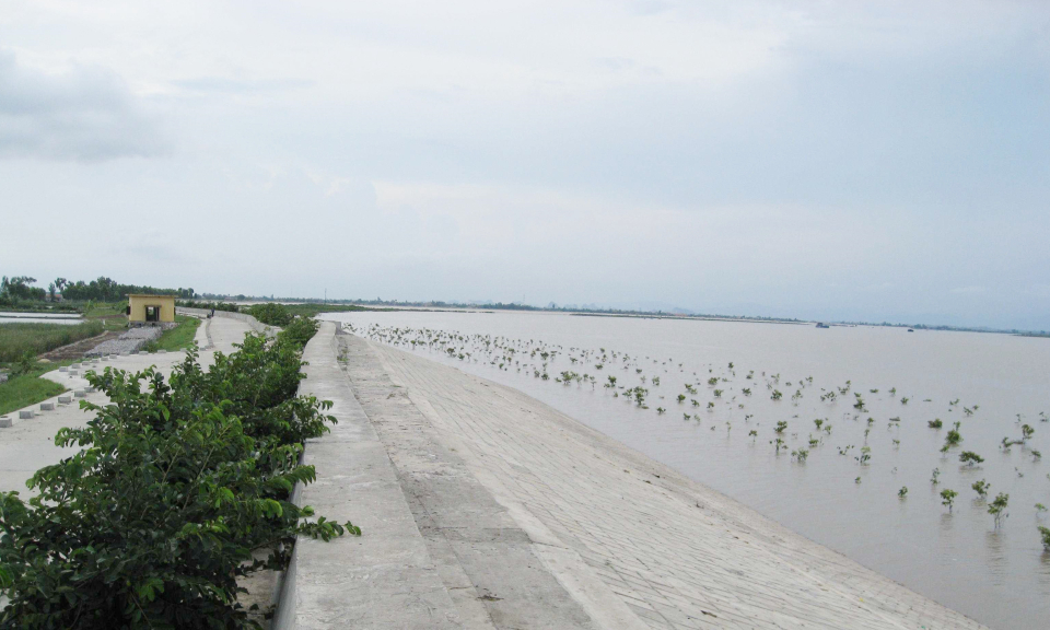 "Đảm bảo an toàn hệ thống đê điều, hồ đập trong mùa mưa bão"