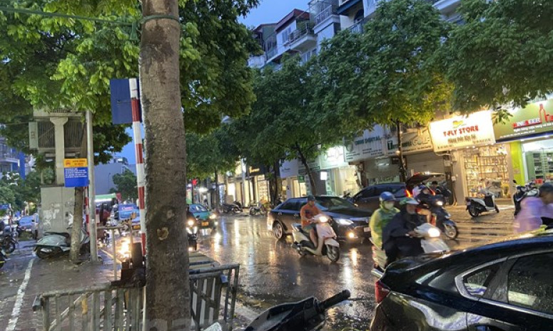 Đông Bắc Bộ, vùng núi và trung du chiều và đêm có mưa vừa, mưa to