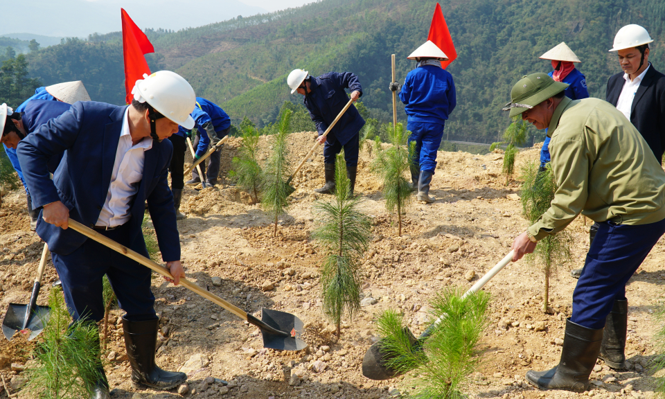 Nâng cao năng lực bảo vệ môi trường
