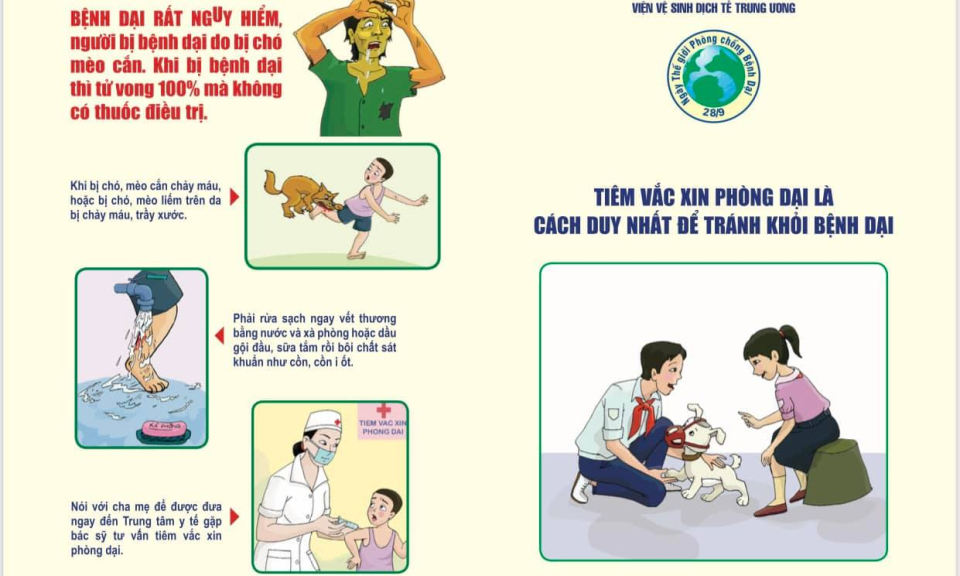 Đề phòng bệnh dại