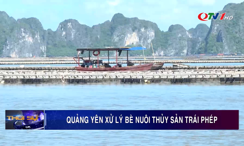 Quảng Yên xử lý bè nuôi thuỷ sản trái phép