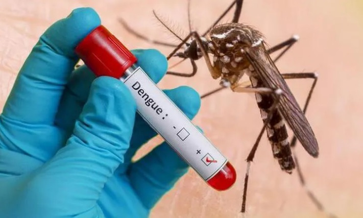 Sốt xuất huyết dengue khi nào cần xét nghiệm?