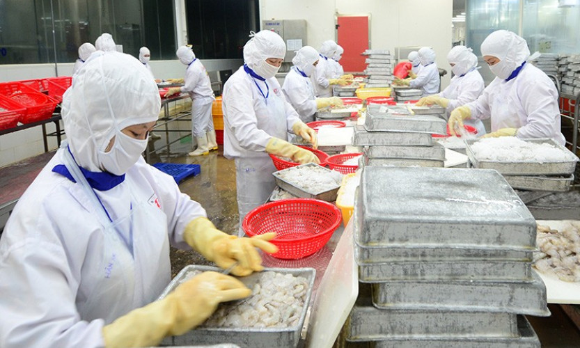 Tăng tốc xuất khẩu nông sản trong 6 tháng cuối năm 2023