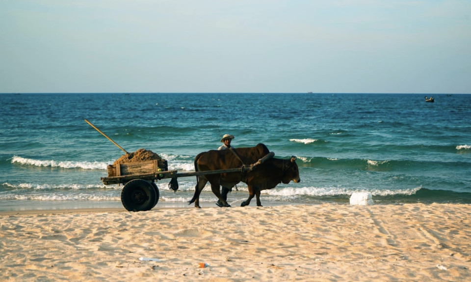 Nature's symphony: Finding bliss at Hue beach