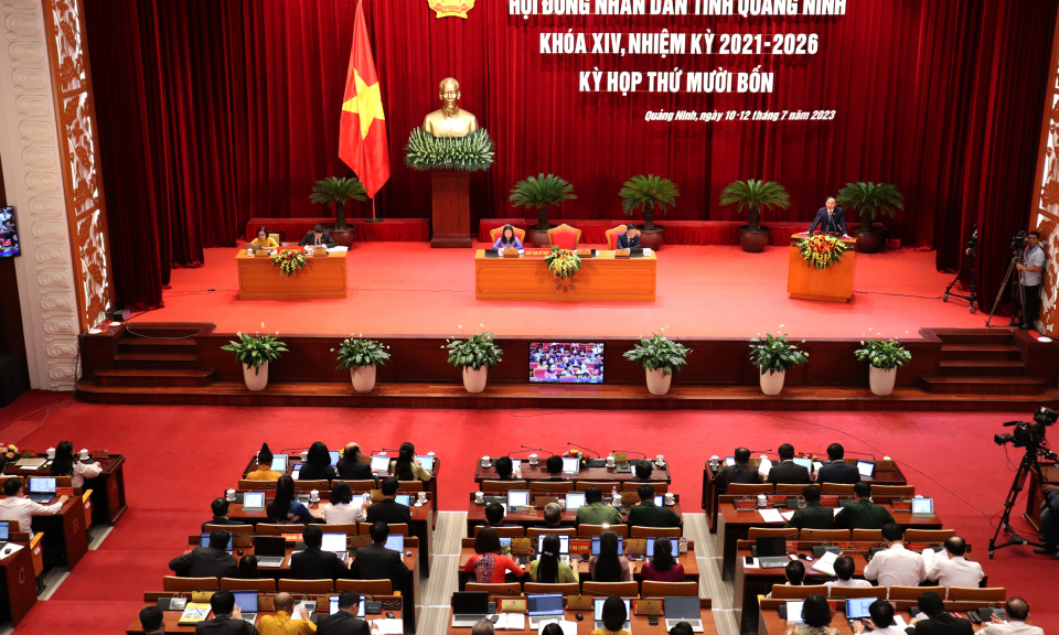 Đại biểu tiến hành thảo thuận tại hội trường