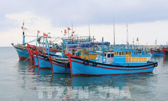 Deputy PM requires strict sanction of IUU fishing acts