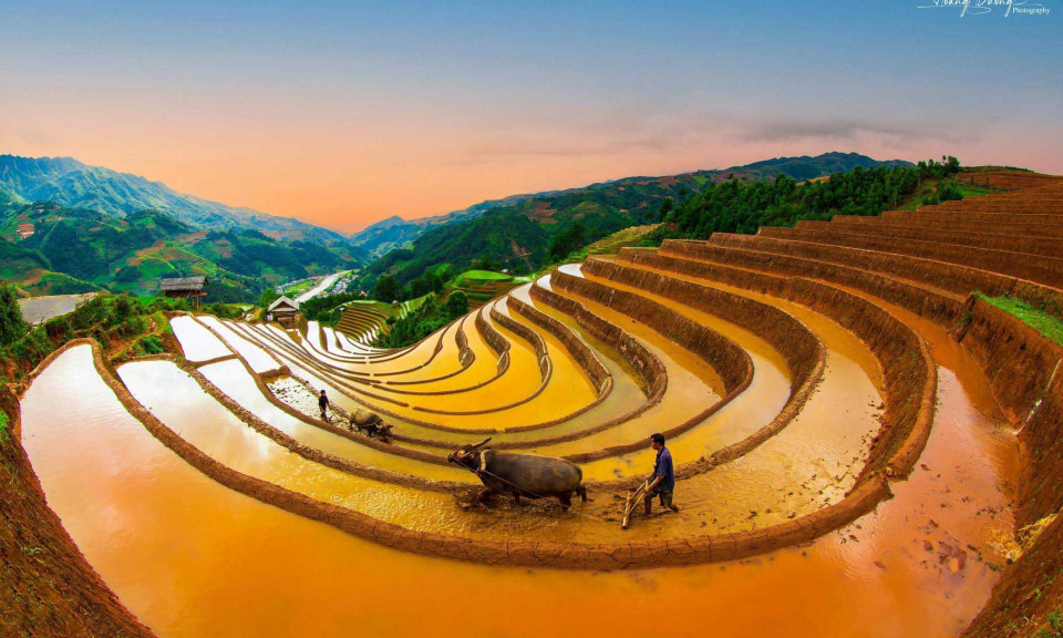 Ngây ngất cảnh ruộng bậc thang Mù Cang Chải mùa nước đổ