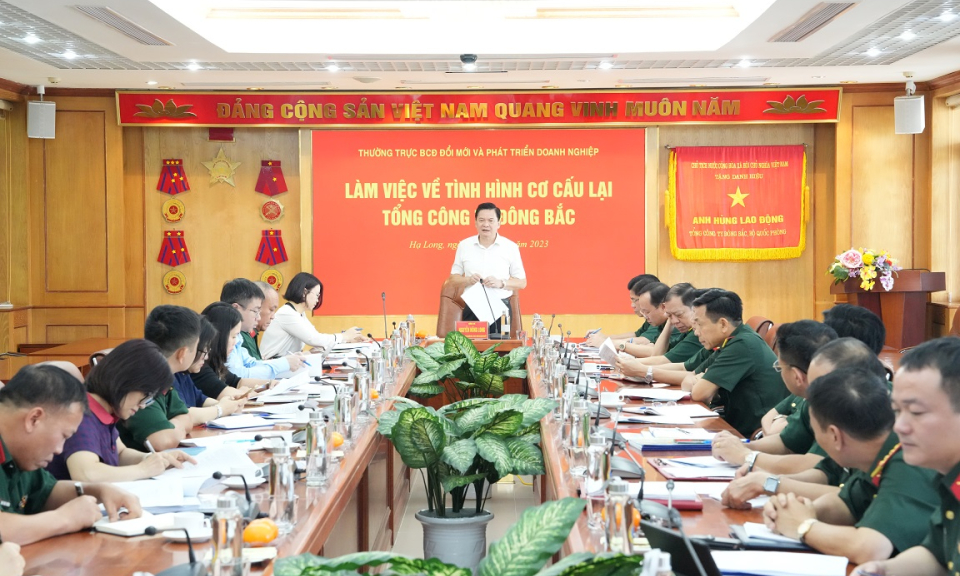 Ban Chỉ đạo Đổi mới và phát triển doanh nghiệp làm việc về tình hình cơ cấu lại Tổng Công ty Đông Bắc