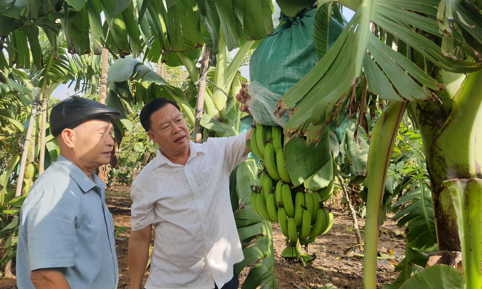 Phát huy tính chủ thể của nông dân