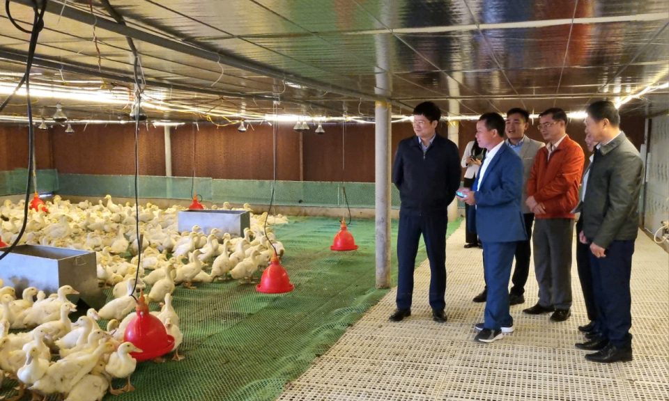 Nông dân thi đua hướng về Đại hội