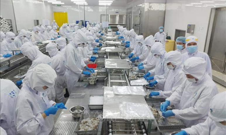 Dư địa cho đà phục hồi kinh tế Việt Nam 