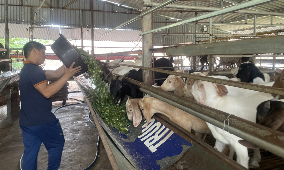 Xây dựng nông thôn mới kiểu mẫu