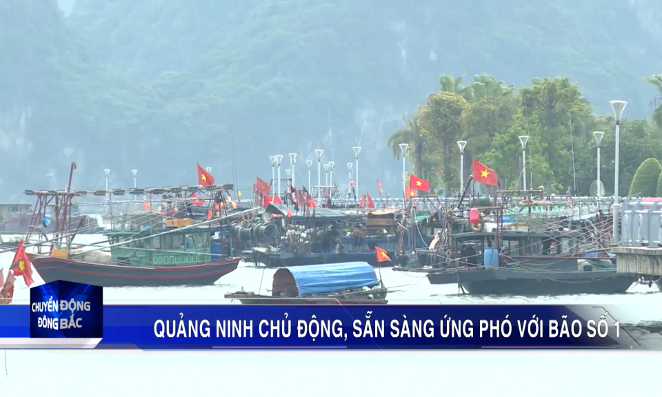 Quảng Ninh chủ động phòng chống bão số 1