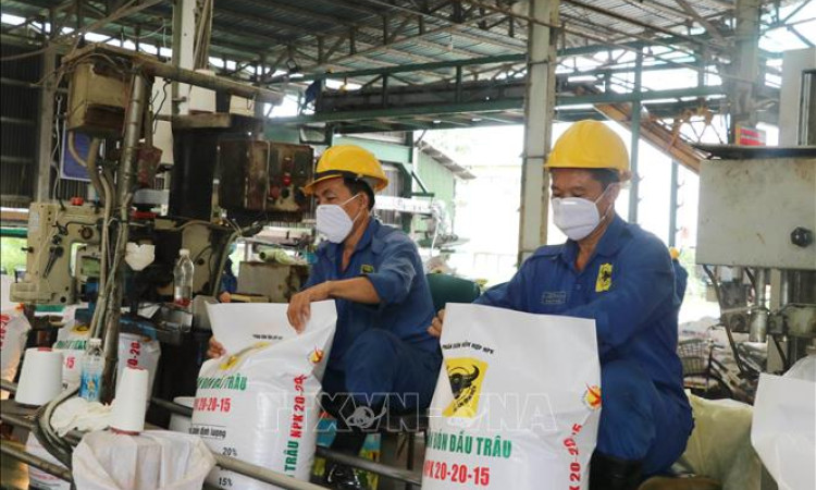 Thị trường phân bón trong nước ổn định
