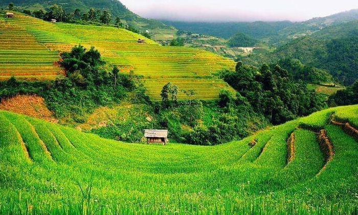 Quy định thời hạn nộp thuế sử dụng đất phi nông nghiệp