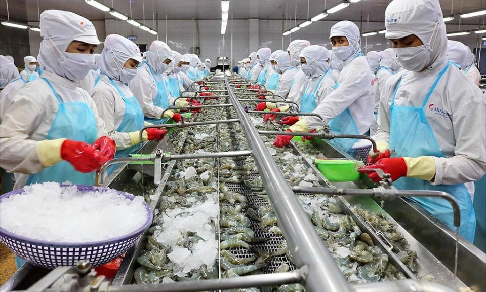 Xuất khẩu dần phục hồi