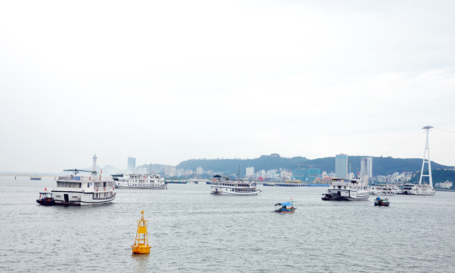 Cruise tours in Ha Long Bay canceled as Storm Talim approaches