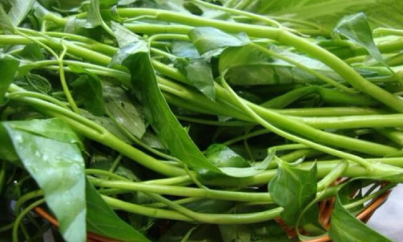 Những trường hợp nào không nên ăn rau muống