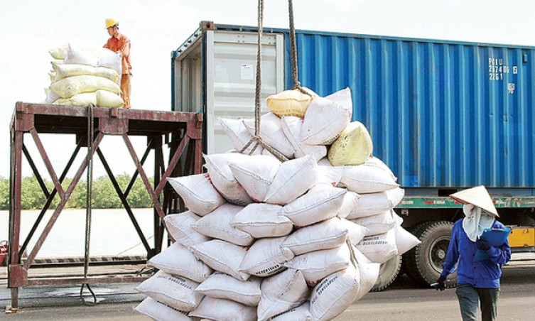 Gạo Việt Nam có mặt ở nhiều thị trường khó tính