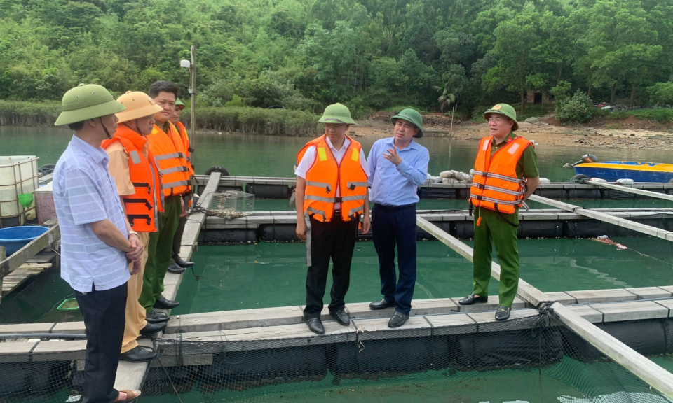 Giao khu vực biển: Thúc đẩy nuôi trồng thuỷ sản theo chuỗi giá trị