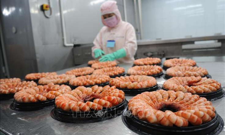 Ngành tôm ổn định sản xuất chờ cơ hội phục hồi