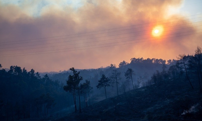Italian region of Calabria hit by wild fires, heat to intensify