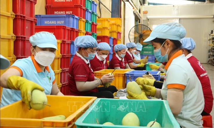 Tăng cường đưa hàng nông sản Việt Nam tới người tiêu dùng Singapore