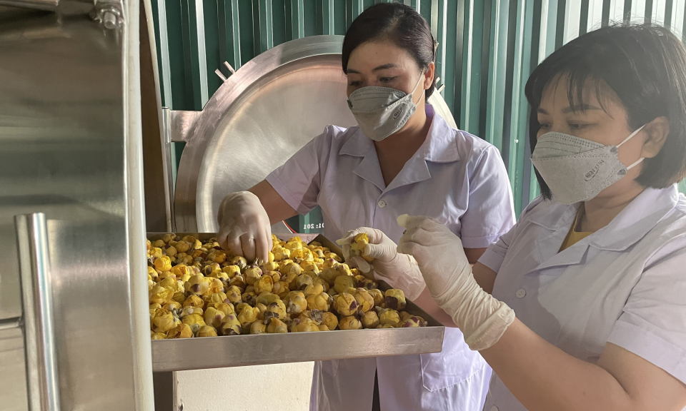 Nông nghiệp đô thị: Mở ra hướng sản xuất mới