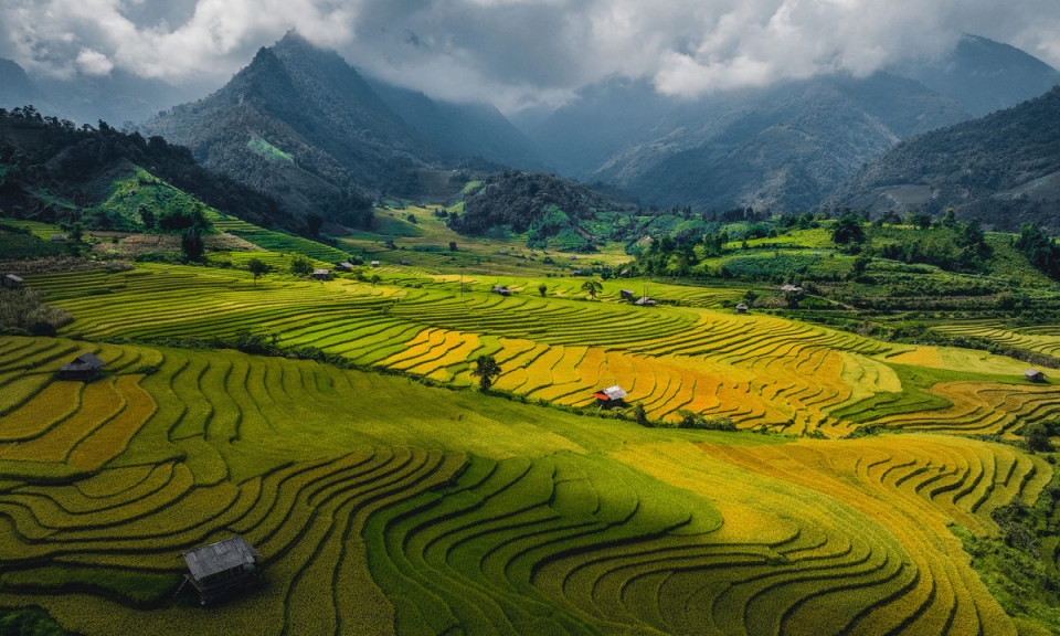 Mùa vàng ở Nậm Cang