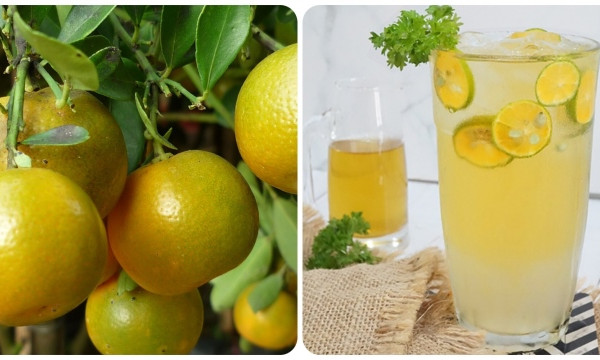 Uống nước quất có tốt không?
