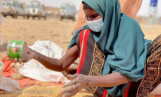 For the sustainability of the global food system