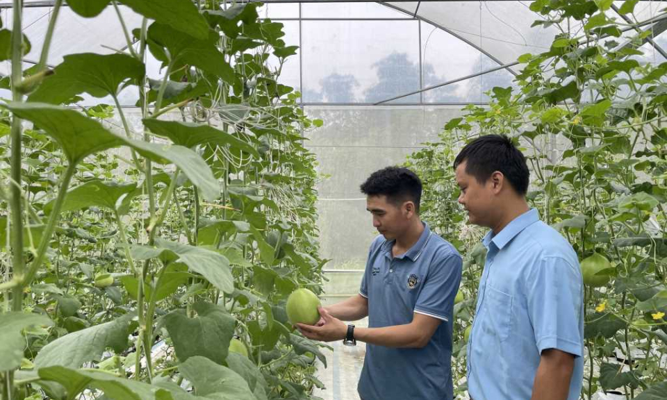 Nông thôn mới trù phú
