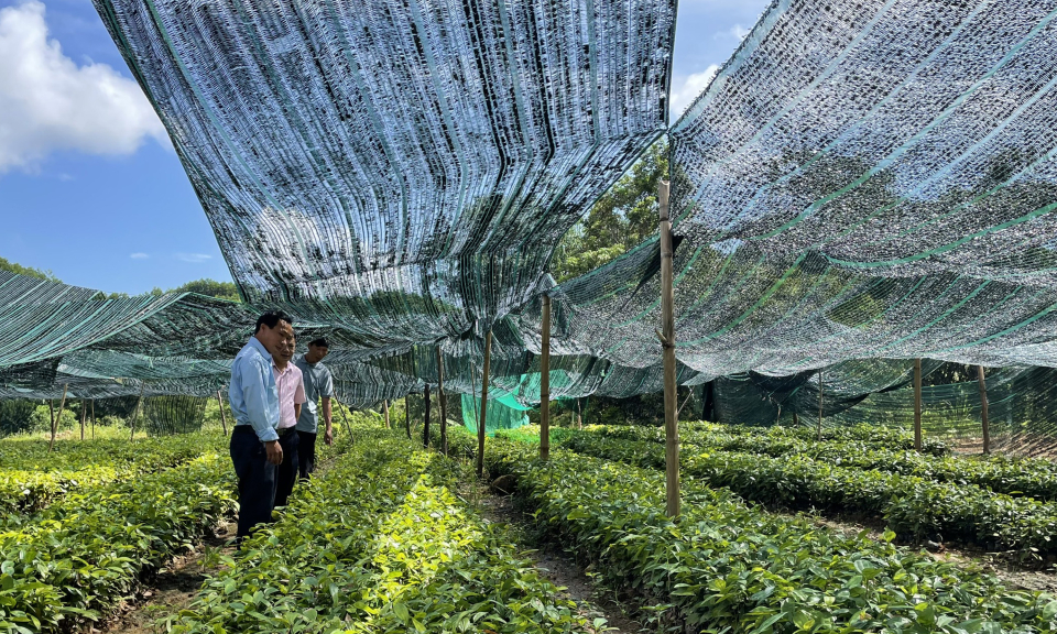 Đòn bẩy từ vốn tín dụng chính sách