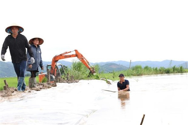 Mua lu gay thiet hai nha cua va cay trong, vat nuoi o nhieu dia phuong hinh anh 3