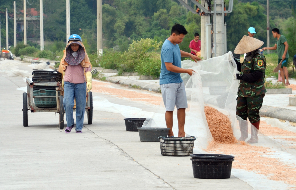 Chị Nguyễn Thị Thanh (bên phải) mỗi đợt khai thác tép biển về tranh thủ phơi tép khô để cung cấp ra thị trường. 