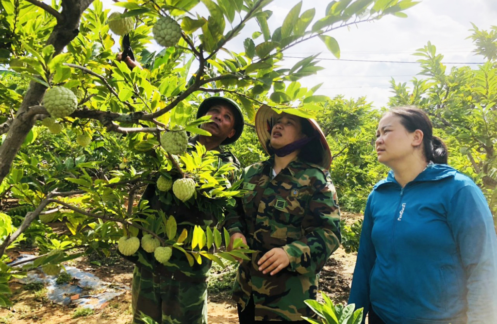 Chất lượng quả na Đông Triều được nâng dần theo từng năm, do người dân áp dụng trình quy trình VietGAP trong trồng, chăm sóc, thu hoạch na. Hiện diện tích na VietGAP của Đông Triều đạt trên 350ha, chiếm gần 40% tổng diện tích toàn vùng na.