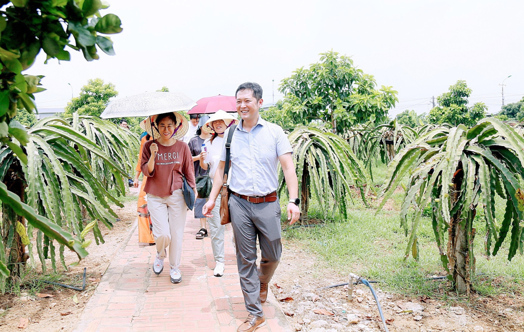 Du khách Hàn Quốc trải nghiệm miệt vườn thanh long của gia đình ông Nguyễn Văn Thu (thôn Tân Thành, xã Việt Dân, TX Đông Triều).
