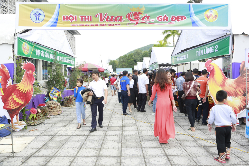 Hội thi Vua Gà được tổ chức lần đầu tiên năm 2020 thu hút hàng ngàn du khách tham quan.